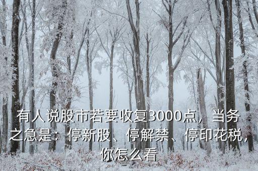 有人說股市若要收復(fù)3000點(diǎn)，當(dāng)務(wù)之急是：停新股、停解禁、停印花稅，你怎么看