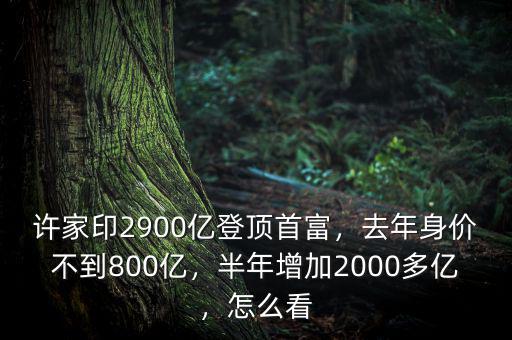 許家印2900億登頂首富，去年身價(jià)不到800億，半年增加2000多億，怎么看