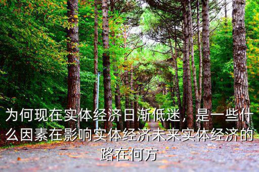 為何現(xiàn)在實體經(jīng)濟日漸低迷，是一些什么因素在影響實體經(jīng)濟未來實體經(jīng)濟的路在何方