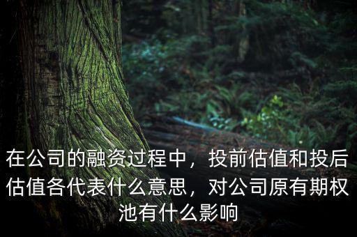 在公司的融資過程中，投前估值和投后估值各代表什么意思，對公司原有期權池有什么影響