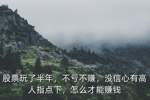 股票玩了半年，不虧不賺，沒信心有高人指點下，怎么才能賺錢