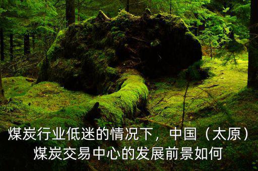 煤炭行業(yè)低迷的情況下，中國（太原）煤炭交易中心的發(fā)展前景如何