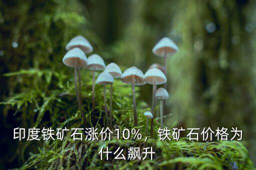 印度鐵礦石漲價(jià)10%，鐵礦石價(jià)格為什么飆升