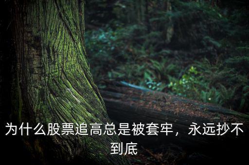 為什么股票追高總是被套牢，永遠抄不到底