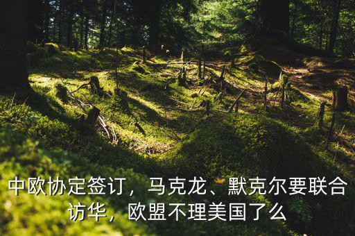 中歐協(xié)定簽訂，馬克龍、默克爾要聯(lián)合訪華，歐盟不理美國(guó)了么