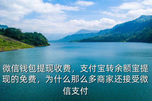 微信錢包提現(xiàn)收費，支付寶轉(zhuǎn)余額寶提現(xiàn)的免費，為什么那么多商家還接受微信支付