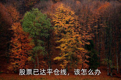 股票已達(dá)平倉(cāng)線，該怎么辦
