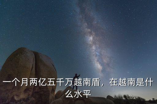 一個(gè)月兩億五千萬越南盾，在越南是什么水平