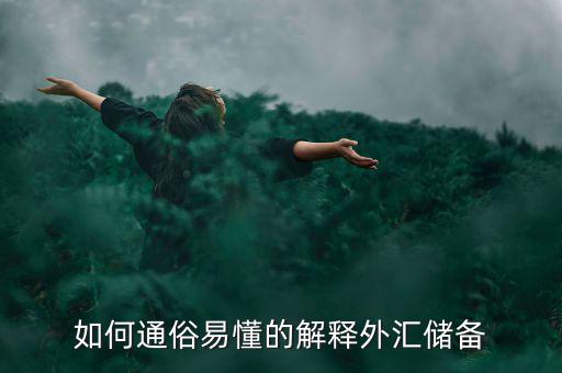怎么評(píng)判外匯儲(chǔ)備的多少,外匯儲(chǔ)備是怎么來的