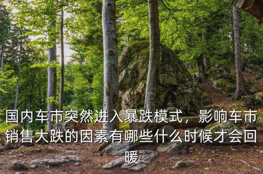 國內(nèi)車市突然進(jìn)入暴跌模式，影響車市銷售大跌的因素有哪些什么時(shí)候才會(huì)回暖
