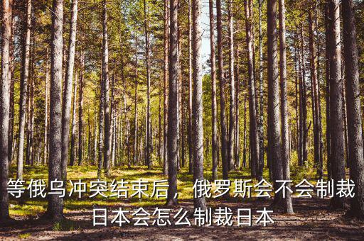 等俄烏沖突結(jié)束后，俄羅斯會不會制裁日本會怎么制裁日本