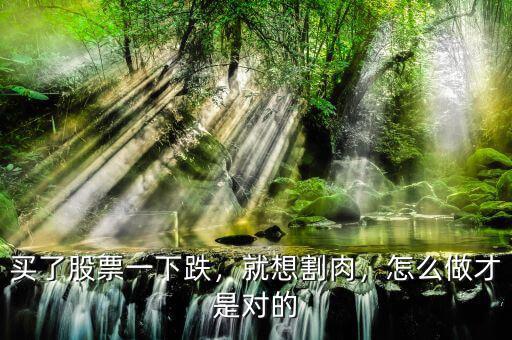 買了股票一下跌，就想割肉，怎么做才是對(duì)的