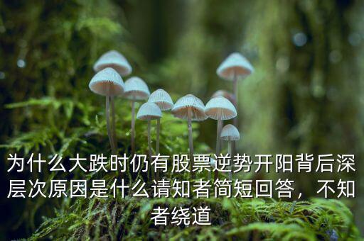 為什么大跌時(shí)仍有股票逆勢開陽背后深層次原因是什么請知者簡短回答，不知者繞道