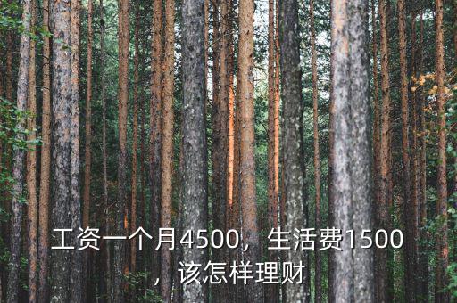 工資一個(gè)月4500，生活費(fèi)1500，該怎樣理財(cái)