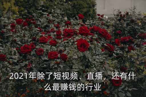 2021年除了短視頻、直播，還有什么最賺錢的行業(yè)