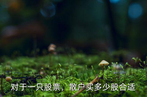 對于一只股票，散戶買多少股合適