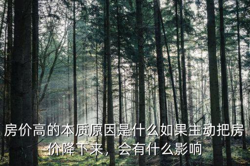 房?jī)r(jià)高的本質(zhì)原因是什么如果主動(dòng)把房?jī)r(jià)降下來(lái)，會(huì)有什么影響