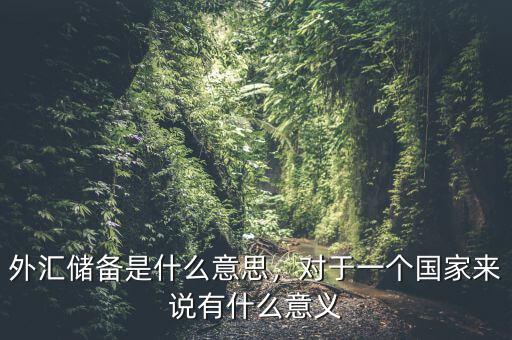 外匯儲(chǔ)備是什么意思，對(duì)于一個(gè)國(guó)家來(lái)說(shuō)有什么意義