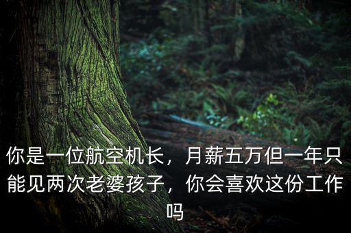 你是一位航空機(jī)長(zhǎng)，月薪五萬(wàn)但一年只能見(jiàn)兩次老婆孩子，你會(huì)喜歡這份工作嗎