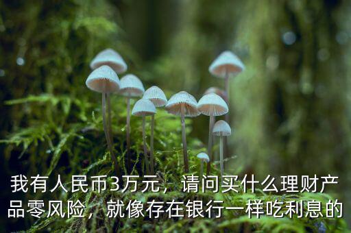 我有人民幣3萬元，請(qǐng)問買什么理財(cái)產(chǎn)品零風(fēng)險(xiǎn)，就像存在銀行一樣吃利息的