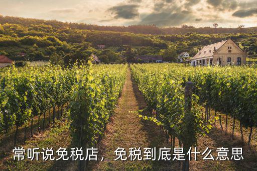 常聽說免稅店，免稅到底是什么意思