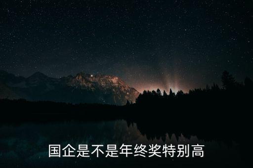 國企是不是年終獎(jiǎng)特別高