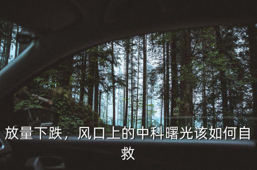 放量下跌，風口上的中科曙光該如何自救
