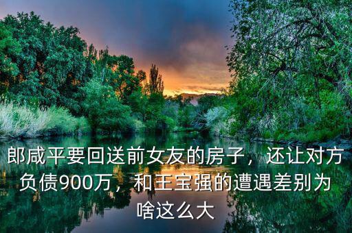 郎咸平要回送前女友的房子，還讓對(duì)方負(fù)債900萬(wàn)，和王寶強(qiáng)的遭遇差別為啥這么大