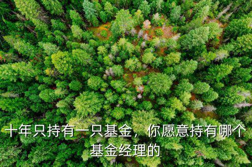 十年只持有一只基金，你愿意持有哪個基金經(jīng)理的