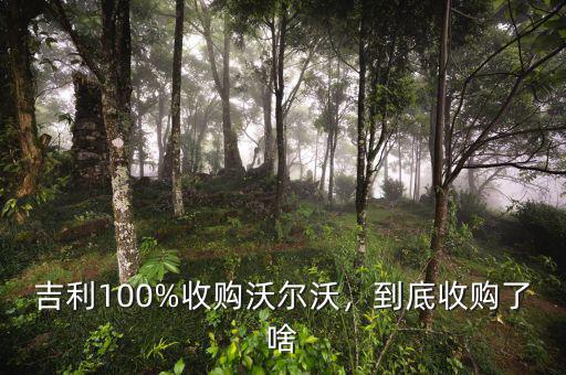 吉利100%收購(gòu)沃爾沃，到底收購(gòu)了啥