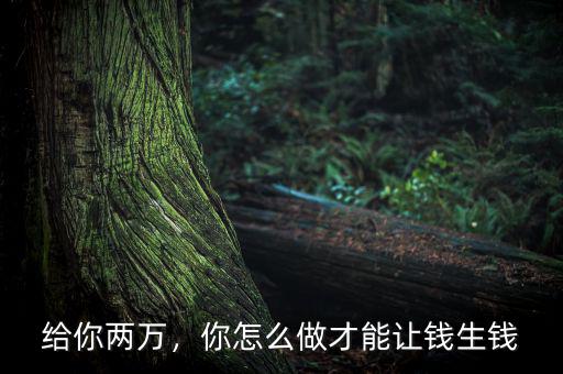 給你兩萬，你怎么做才能讓錢生錢
