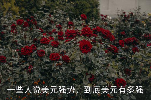 一些人說美元強勢，到底美元有多強