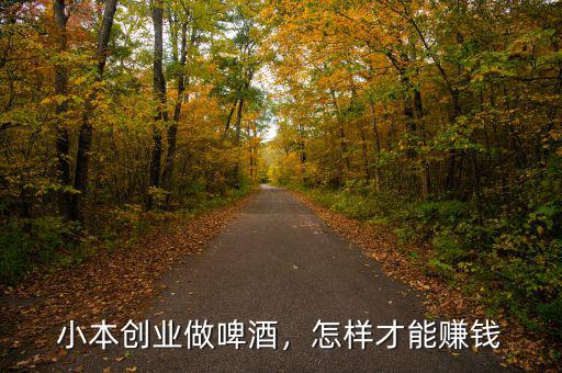 小本創(chuàng)業(yè)做啤酒，怎樣才能賺錢