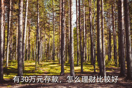 有30萬(wàn)元存款，怎么理財(cái)比較好