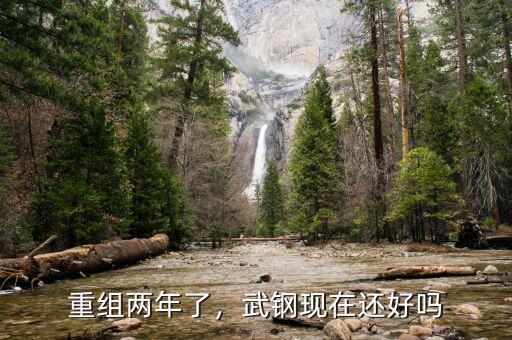 重組兩年了，武鋼現(xiàn)在還好嗎