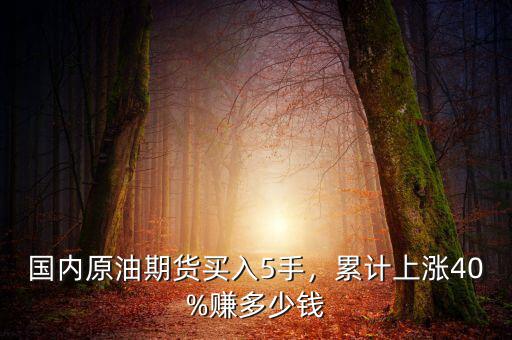 國內(nèi)原油期貨買入5手，累計上漲40%賺多少錢