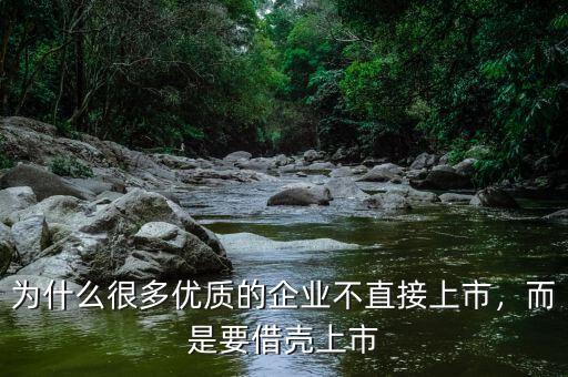 為什么很多優(yōu)質(zhì)的企業(yè)不直接上市，而是要借殼上市