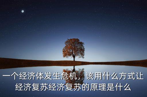 一個(gè)經(jīng)濟(jì)體發(fā)生危機(jī)，該用什么方式讓經(jīng)濟(jì)復(fù)蘇經(jīng)濟(jì)復(fù)蘇的原理是什么