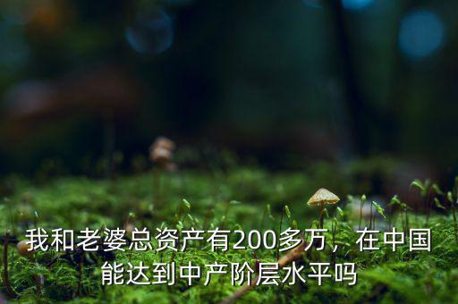 我和老婆總資產有200多萬，在中國能達到中產階層水平嗎
