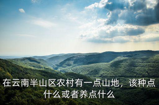 在云南半山區(qū)農(nóng)村有一點(diǎn)山地，該種點(diǎn)什么或者養(yǎng)點(diǎn)什么