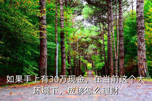 如果手上有30萬(wàn)現(xiàn)金，在當(dāng)前這個(gè)大環(huán)境下，應(yīng)該怎么理財(cái)