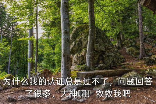 為什么我的認(rèn)證總是過不了，問題回答了很多，大神啊！救救我吧