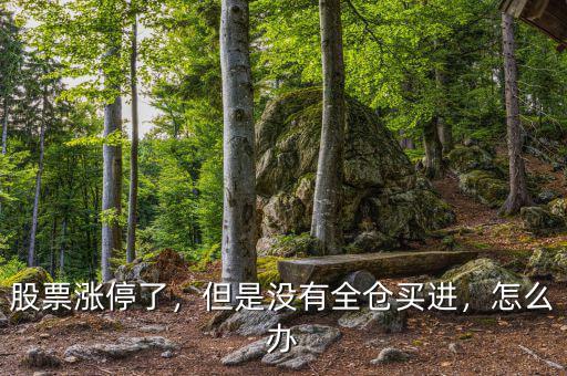 股票漲停了，但是沒有全倉買進，怎么辦