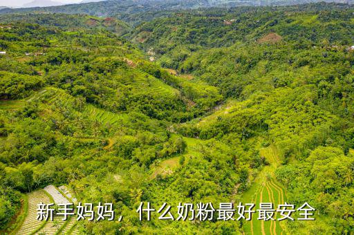 新手媽媽，什么奶粉最好最安全