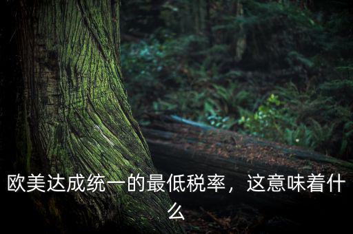 歐美達(dá)成統(tǒng)一的最低稅率，這意味著什么