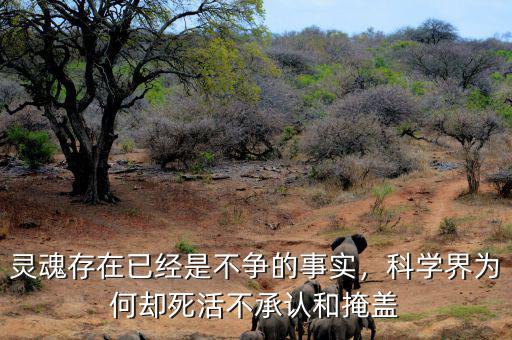 靈魂存在已經是不爭的事實，科學界為何卻死活不承認和掩蓋