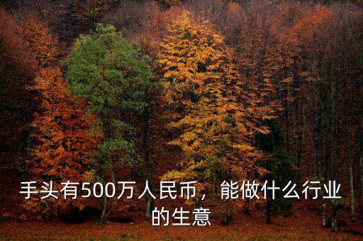 手頭有500萬人民幣，能做什么行業(yè)的生意