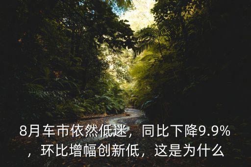 8月車市依然低迷，同比下降9.9%，環(huán)比增幅創(chuàng)新低，這是為什么