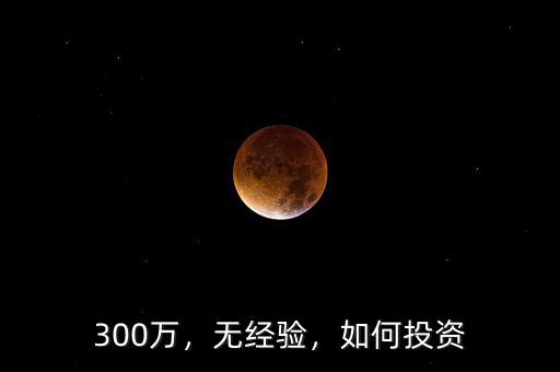 300萬，無經(jīng)驗(yàn)，如何投資