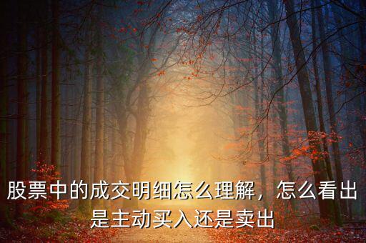 股票中的成交明細(xì)怎么理解，怎么看出是主動(dòng)買入還是賣出